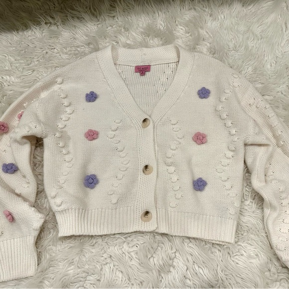 Francesca's Collections Sweaters - Francesca's Collections Cream Knit Sweater floral embroidered